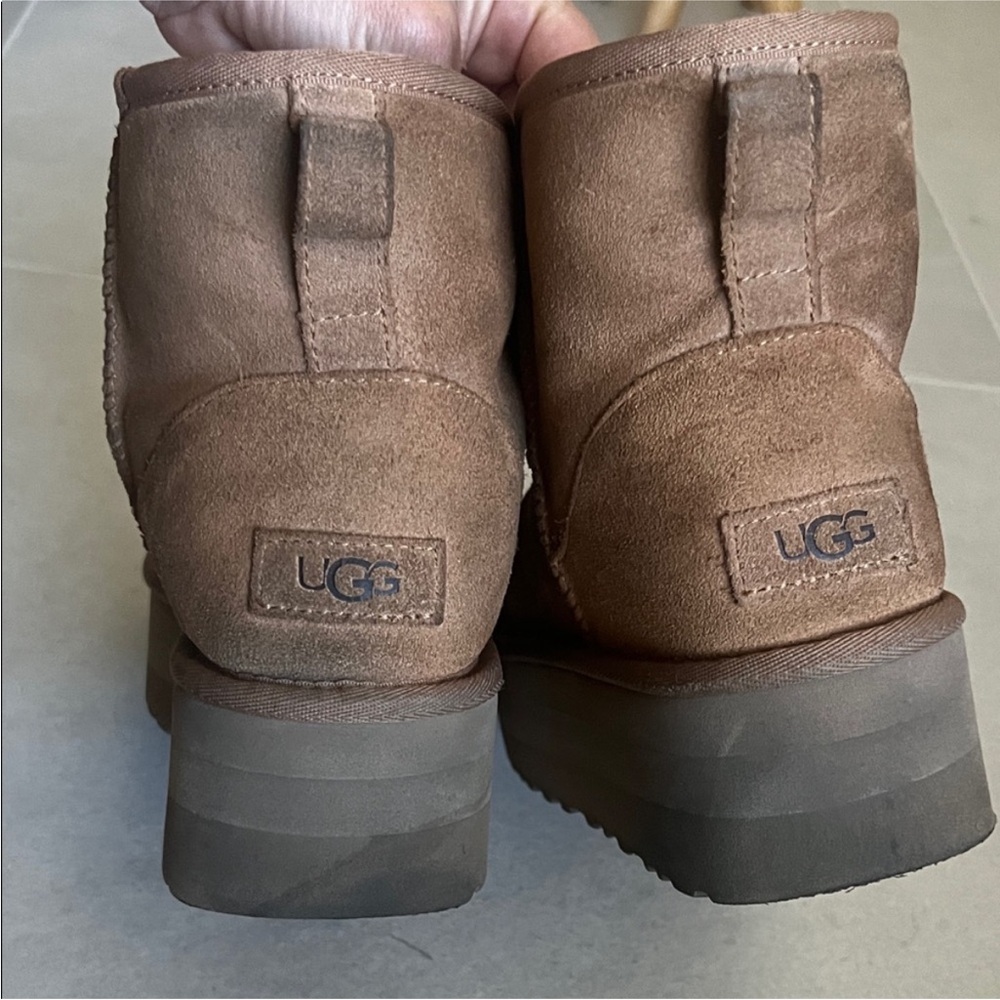 Platform Mini UGGS Chestnut - Picture 4 of 7